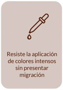 Dagusto Crema Superior Chocolate - 5